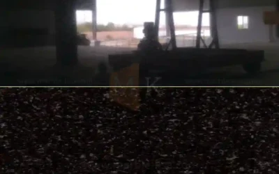 جرانيت بلاك ابسلوت